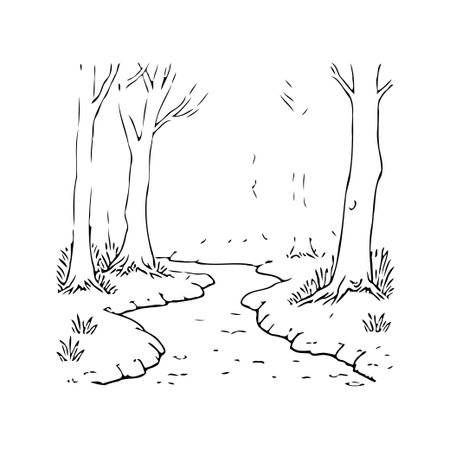 A monochrome drawing captures a peaceful scene. A pathway meanders through woodland, lined with trees, inviting viewers to imagine exploring the serene landscape. The line art creates a tranquilのイラスト素材