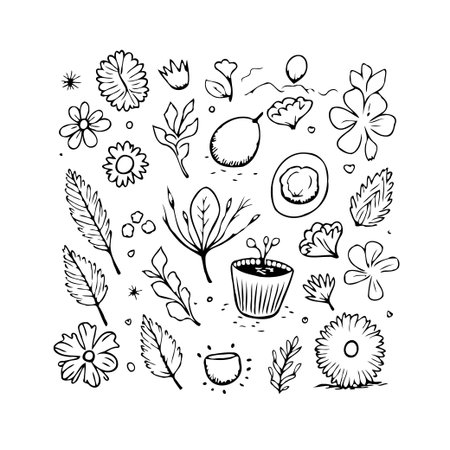 An arrangement of botanical sketches depicting a variety of flower types, assorted leaves, and a small potted plant. Ideal for nature-inspired designs, minimalistic illustrations, or creatingのイラスト素材