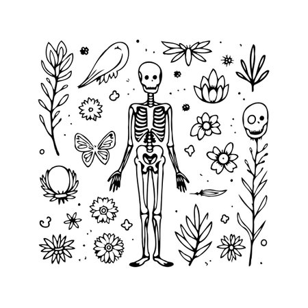 A hand-drawn illustration featuring a skeleton surrounded by botanical elements, flowers, and insects. The style evokes an ethereal and gothic atmosphere, creating a unique and whimsical compositionのイラスト素材