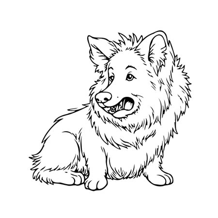 Detailed line drawing of a fluffy corgi sitting with a cheerful expression. This black and white illustration is ideal for coloring pages, educational resources, and graphic designs. The clean linesのイラスト素材