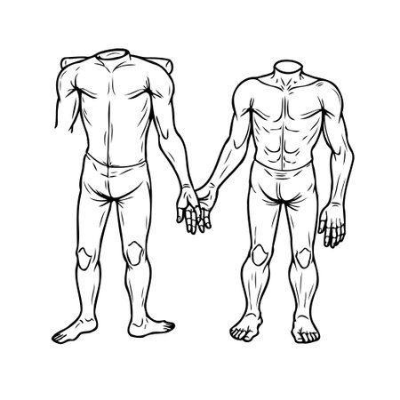 A black and white illustration depicting two anatomical male figures holding hands. The figures showcase human muscular structure and physique in a simplistic style, suitable for educational orのイラスト素材