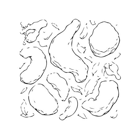 A delicate sketch of cashew nuts isolated on a white canvas. A culinary illustration showing different shapes of nuts, ideal for illustrating the health benefits of plant-based diets, showing simpleのイラスト素材