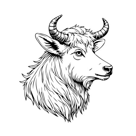 An intricately detailed monochrome illustration of a bull, capturing its strength and wild nature. Perfect for representing livestock, astrological signs, or conveying a rustic aesthetic. Theのイラスト素材