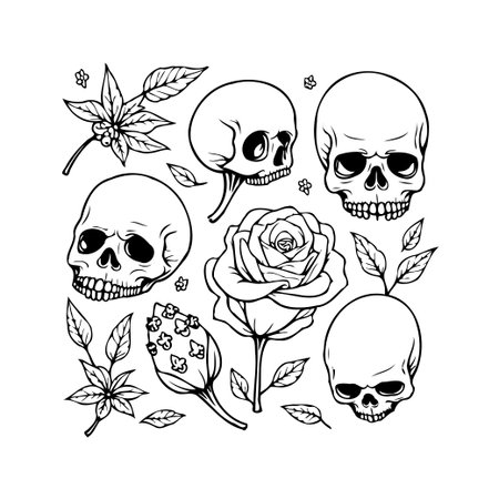 Hand-drawn illustration featuring a juxtaposition of skulls and floral elements. The monochromatic artwork explores themes of mortality and the ephemeral nature of beauty through the contrast ofのイラスト素材