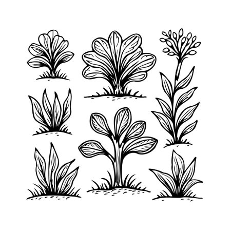 Explore a curated collection of meticulously crafted botanical illustrations, each depicting various plant species in stunning black and white line art. This versatile vector graphic presents anのイラスト素材