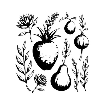 Elegant botanical illustration features various fruits such as pear and strawberry amidst delicate floral elements. The minimalist black and white design evokes nature's simplicity, perfect forのイラスト素材
