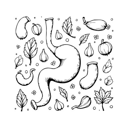 Detailed botanical illustration featuring a whimsical stomach anatomy surrounded by autumnal crops and flora. Ideal for medical or educational purposes, this graphic provides a unique and artisticのイラスト素材