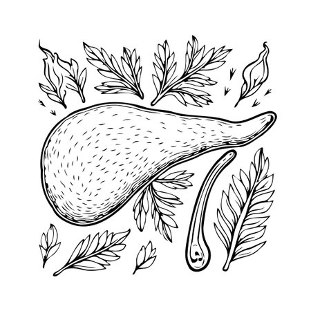 Detailed illustration of the pancreas surrounded by botanical elements. An educational anatomical design showcases human organ alongside stylized leaves, perfect for medical, scientific, orのイラスト素材