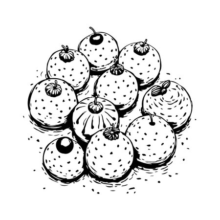 This hand-drawn illustration shows a collection of dotted circular fruits. The detailed line work and shading create a simple yet elegant image. Perfect for illustrating a botanical concept, foodのイラスト素材