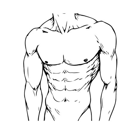 A detailed black and white illustration depicts a muscular male torso and arms, showcasing the human anatomy with emphasis on muscle definition. This graphic representation is suitable forのイラスト素材