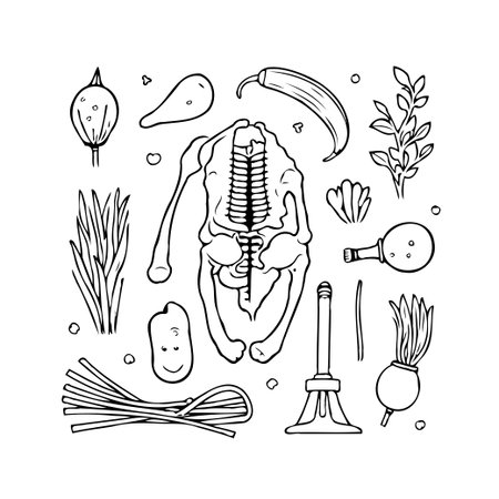 A hand-drawn illustration featuring a skeleton in a botanical arrangement. The artwork combines skeletal structure with various botanical elements, creating a unique and intriguing design. Thisのイラスト素材