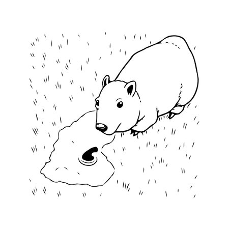 A delightful monochrome illustration depicts a curious wombat encountering a puddle reflecting a cloud. The simple yet charming sketch captures the essence of nature and wildlife in an adorable andのイラスト素材