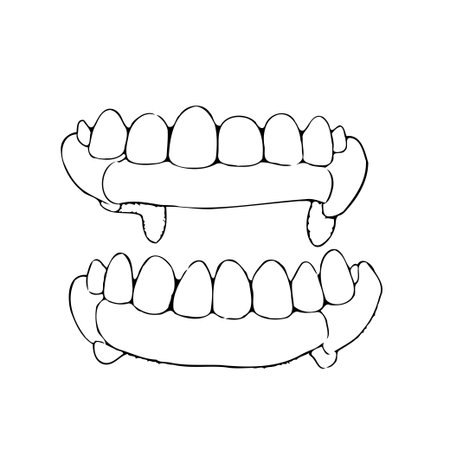 Stylized sketch presents a set of dentures, emphasizing the design and anatomical aspects of these dental prosthetics. The line work offers a glimpse into the intersection of healthcare andのイラスト素材
