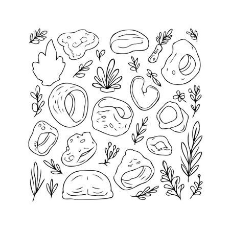 An artistic monochrome graphic design featuring hand-drawn abstract shapes of organic stones, interspersed with floral elements. The simple outline aesthetic creates a harmonious arrangementのイラスト素材