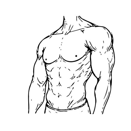 Detailed black and white line art portraying a well-defined muscular male torso. The illustration highlights abdominal muscles, chest, shoulders, and arms, offering a representation of strength,のイラスト素材