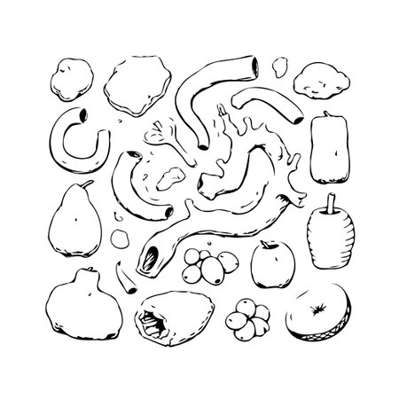 This illustration features a collection of hand-drawn fruits, pasta, and abstract shapes. The sketch showcases the beauty of simple lines and forms. It's a versatile graphic, perfect for culinaryのイラスト素材