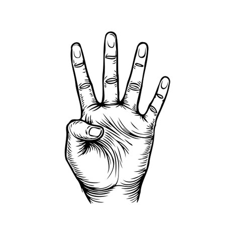 A detailed black and white illustration showcases a hand extending four fingers, serving as a gesture of numerical representation. This artwork combines anatomical realism with artistic expressionのイラスト素材