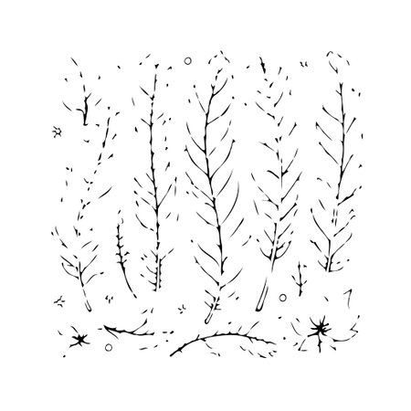 A collection of delicate, hand-drawn botanical illustrations featuring branches and foliage. The minimalist design creates a subtle yet elegant visual, making it ideal for various creative projects.のイラスト素材