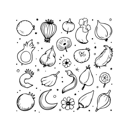 An array of meticulously hand-drawn fruits and botanical elements creates a visually pleasing sketch, offering a creative depiction of nature. This composition combines the simplicity of line workのイラスト素材