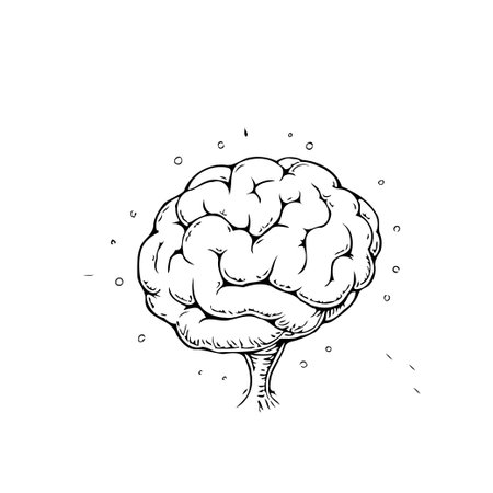 Monochrome illustration depicting a stylized human brain, signifying cognitive functions like intelligence, creativity, and thought processes. Its minimalistic design makes it suitable for visualのイラスト素材