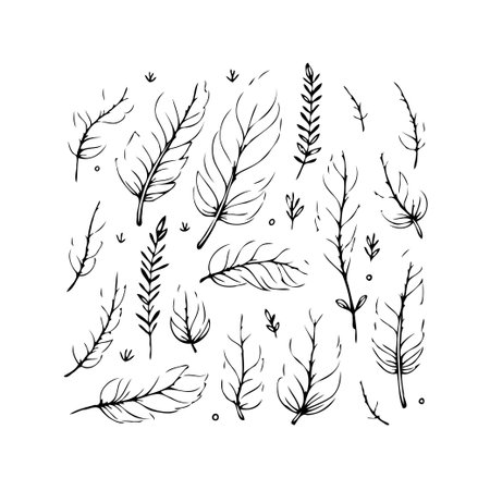 A delicate collection of hand-drawn feathers and botanical foliage sketches. This vector illustration offers a natural and artistic touch, perfect for creating decorative elements, patterns, orのイラスト素材