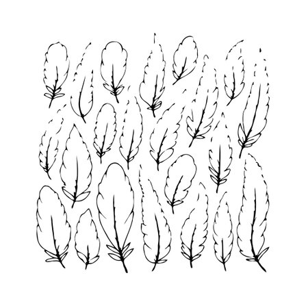 A delicate collection of sketched feathers creates a sense of lightness and movement. The design showcases the ethereal shapes and fragile beauty of feathers, ideal for adding a touch of natureのイラスト素材