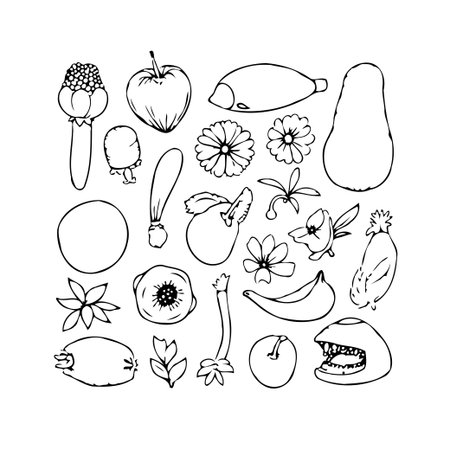 This image presents a delightful collection of hand-drawn fruits, vegetables, and flowers. The black and white sketch style adds a touch of simplicity and charm, perfect for various creativeのイラスト素材