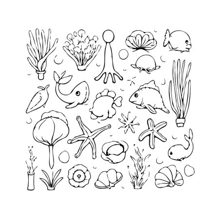 Monochrome illustration showcasing delicate ocean life in a doodle art style. The design features a variety of sea creatures like fish, shells, starfish, and diverse marine plants and coral outlinedのイラスト素材