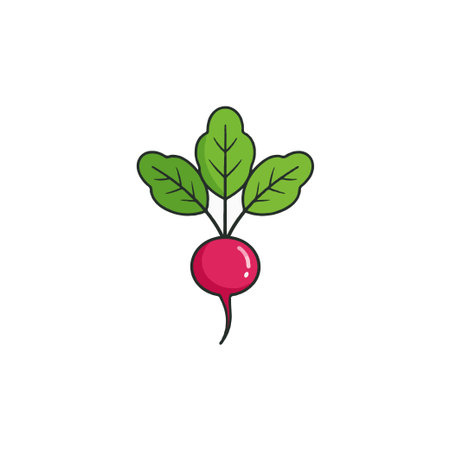 A clean, minimalist illustration of a radish, rendered in bright pink and green. This depiction emphasizes freshness and vitality, perfect for conveying a healthy lifestyle or a connection to natureのイラスト素材