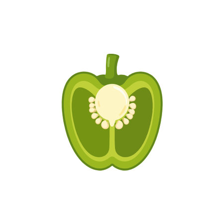 A close-up vector illustration portrays a half, sliced green bell pepper, revealing its inner structure including its seeds. This image can be employed to add a fresh, colorful element to websitesのイラスト素材