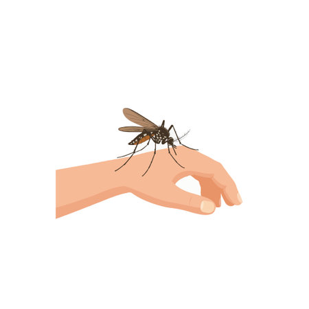 An illustration shows a mosquito biting a hand, conveying a message about vector borne diseases and the necessity of prevention and control to protect public health from parasitic infection, virusのイラスト素材