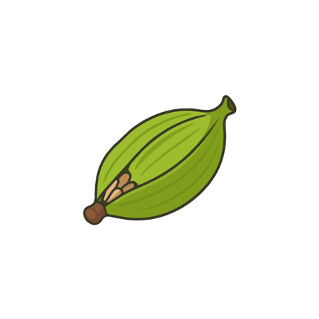 An elegant illustration showcases a vivid green cardamom pod, partly open to reveal its fragrant seeds within. This image captures the essence of this revered spice, ideal for illustrating culinaryのイラスト素材