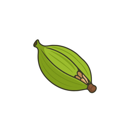 An artistic depiction of a cardamom pod, showcasing the internal structure with seeds nestled inside the green shell. The illustration emphasizes the spice's texture and aromatic allure, ideal forのイラスト素材