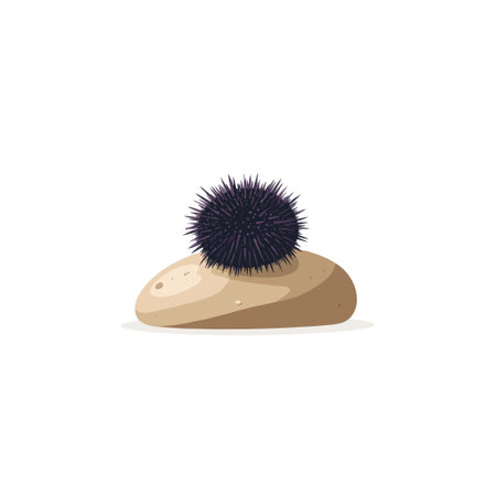 A stylized illustration presents a sea urchin sitting atop a beach stone. The marine animal's spiky exterior provides an interesting contrast to the smooth, rounded shape of the pebble, making for aのイラスト素材