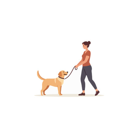 A cheerful golden labrador retriever dog is being walked on a leash by its female owner. This simple illustration conveys the joy of pet companionship, the importance of daily exercise, and theのイラスト素材
