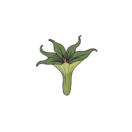 A stylized botanical illustration showcases a flower characterized by its elongated calyx and curved petals, rendered in various shades of green, evoking a sense of organic simplicity and minimalistのイラスト素材