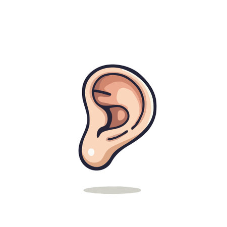 Detailed illustration of a human ear showcasing the complex anatomical features, including the helix, antihelix, lobe, and concha. This image is suitable for medical illustrations, educationalのイラスト素材