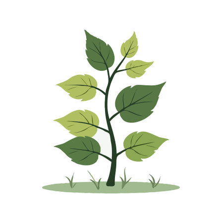 Illustration of a green sprout with leaves, symbolizing growth and nature. Ideal for eco-friendly and organic themes.のイラスト素材