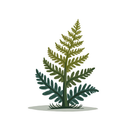 Detailed illustration of a green fern plant. Ideal for nature, botanical, and design projects.のイラスト素材
