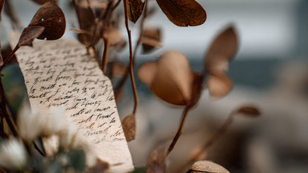Close-up of an antique letter with faded handwriting, surrounded by dried plant decor for a vintage aesthetic.の素材