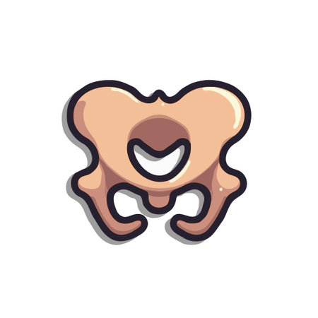 Cute cartoon style illustration of a pelvis bone. Great for medical, educational, or anatomical designs and projects.のイラスト素材