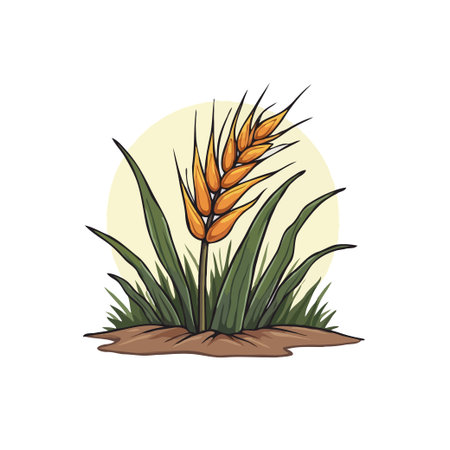 Illustration of a wheat stalk with grass and a sun background. Perfect for agriculture and food related designs.のイラスト素材