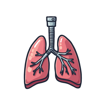 Detailed vector illustration of human lungs with trachea and bronchi. Medical diagram for educational or healthcare purposes.のイラスト素材