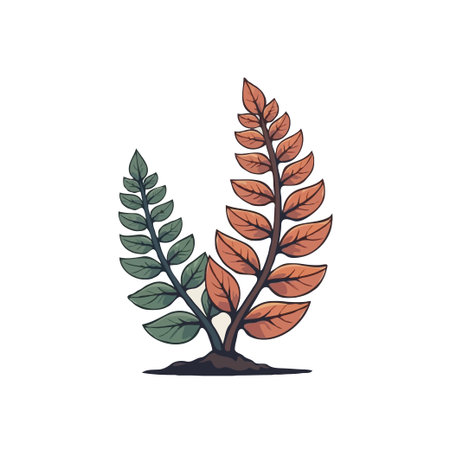 Illustration of two fern plants, one with green leaves and the other with autumnal orange leaves.のイラスト素材