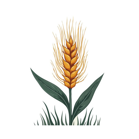 Illustration of a golden wheat stalk with green leaves on a white background. Symbol of harvest and agriculture.のイラスト素材