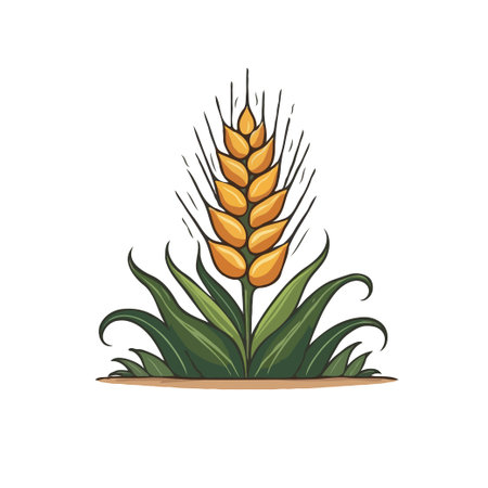 Illustration of a wheat plant with green leaves and golden grains on a white background. Vector drawing.のイラスト素材