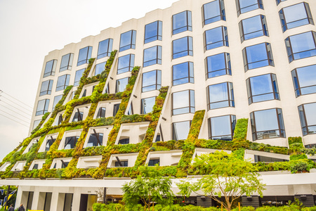 West Sunset Boulevard,Los Angeles, California 01.16.2016: IAC Brings California native plants grace...
