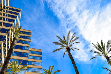 USA, California, Los Angeles, Hollywood, 17 Janua 2015: Outside views of the  Studio Warner Bros Los Angeles. Studio Tour Hollywood . New York Film Academy. palms Guckenheimer Enterprises Inc. TNT TBSのeditorial素材
