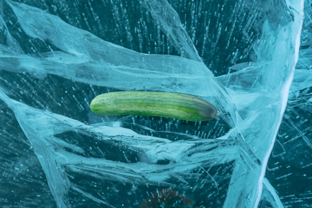 Cucumber is beautiful on pure ice. One of the most beautiful glacial lakes on earth - Lake Baikal.の写真素材