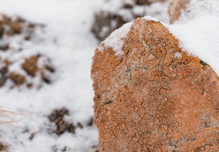 Lichen-covered dry stone wall in winter lightの写真素材